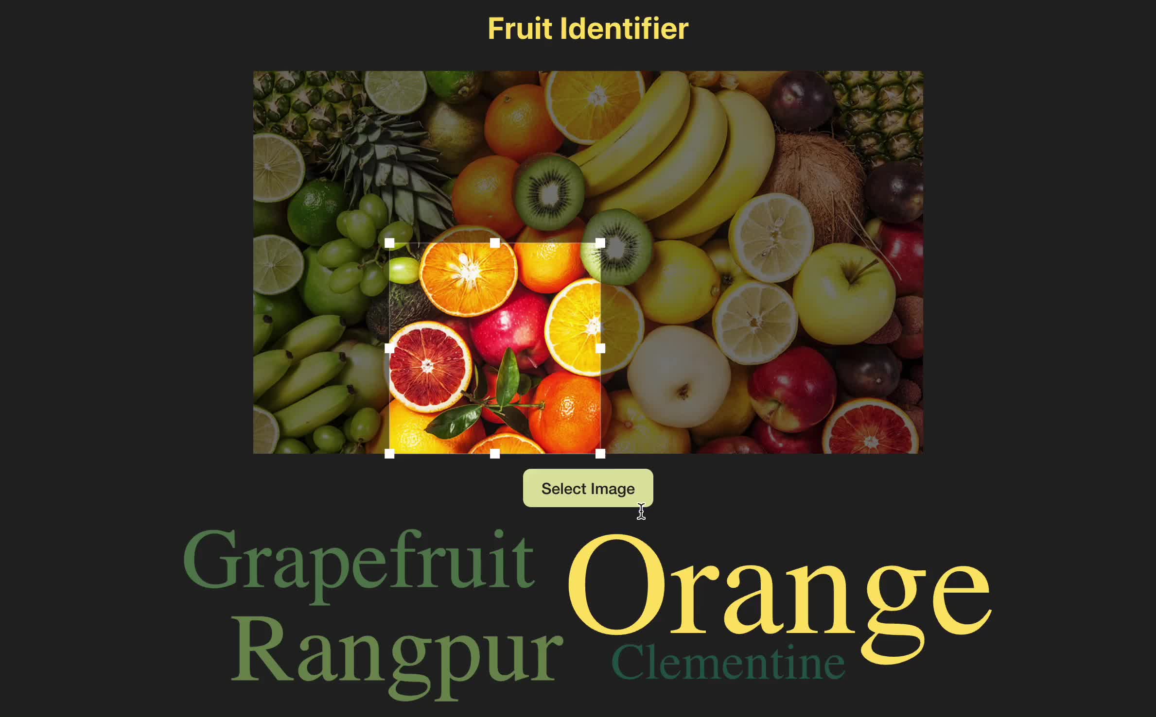 Image of Fruit Identifier